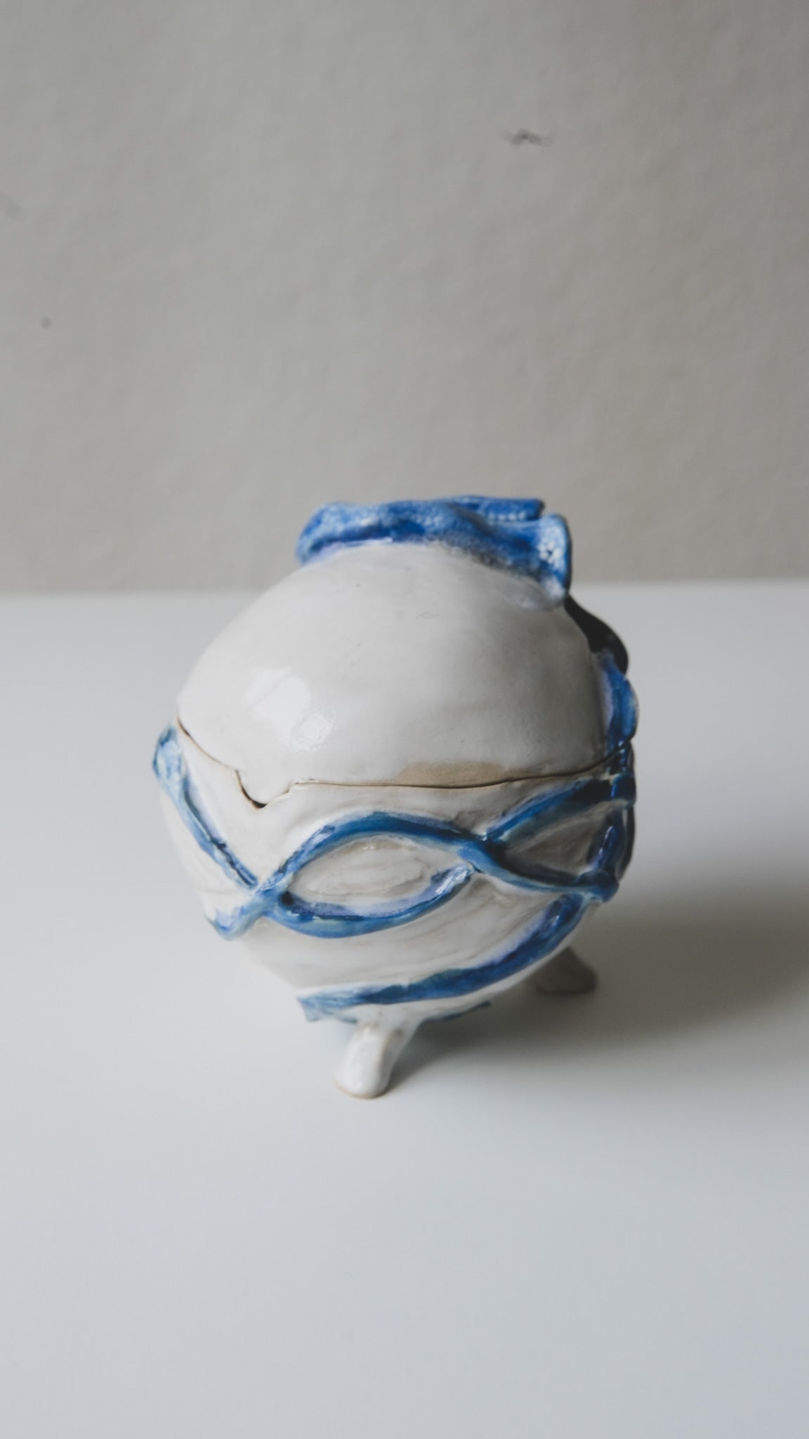 Box "Jellyfish"