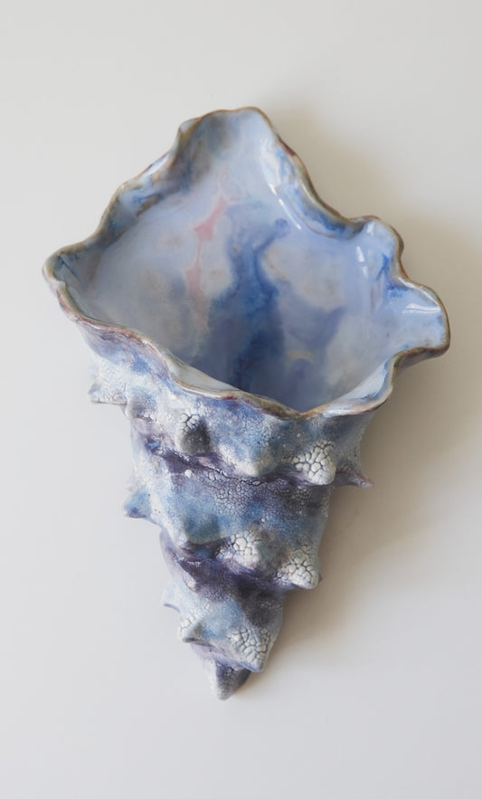 Blue Shell