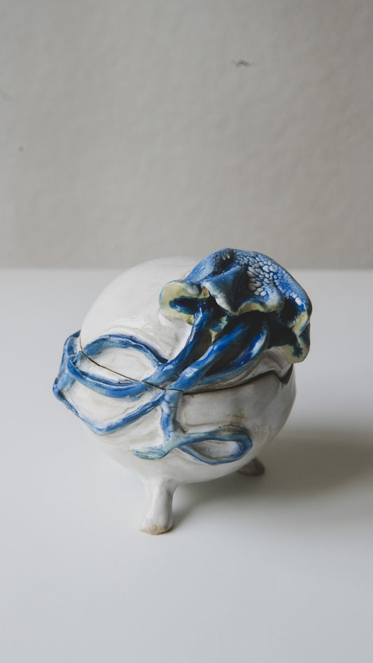 Box "Jellyfish"