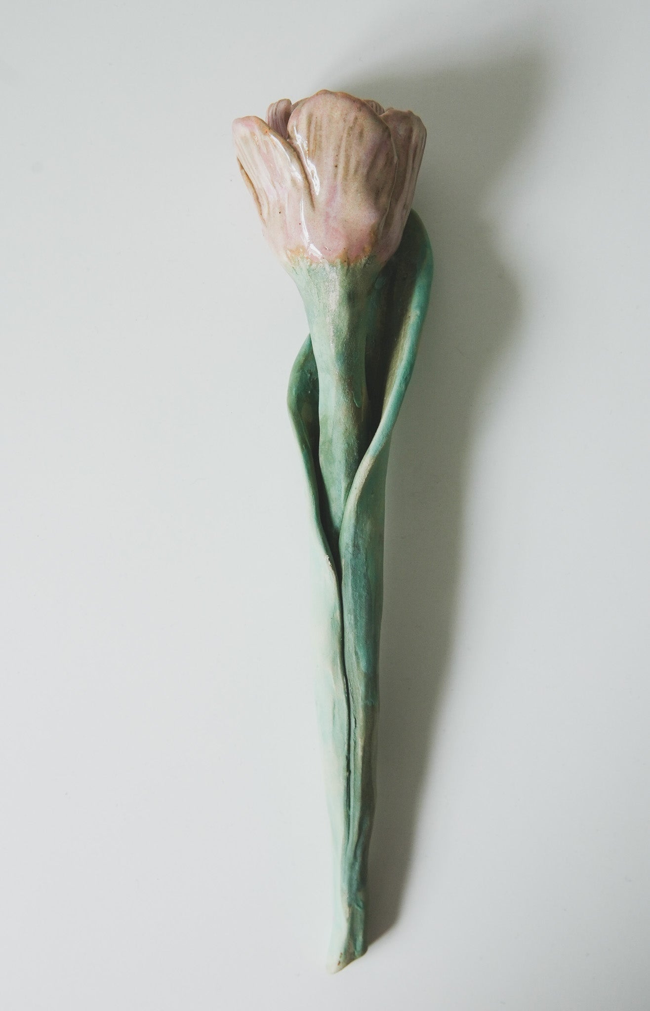 Tulip