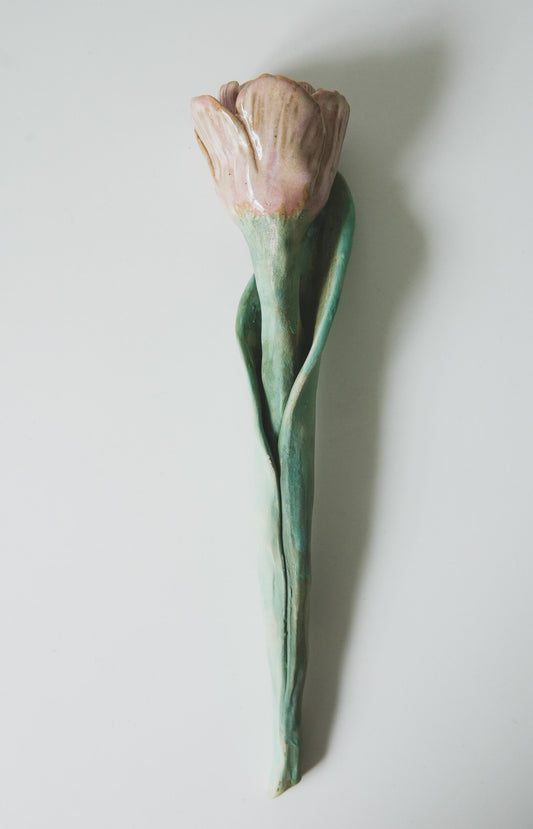 Tulip