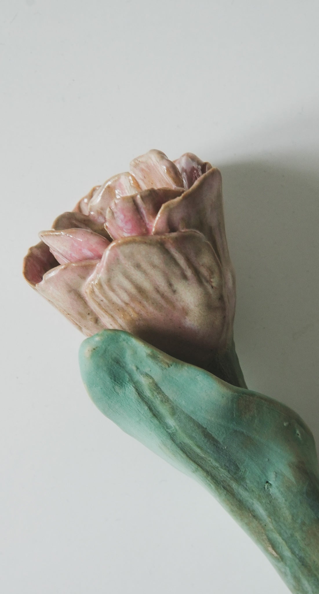 Tulip