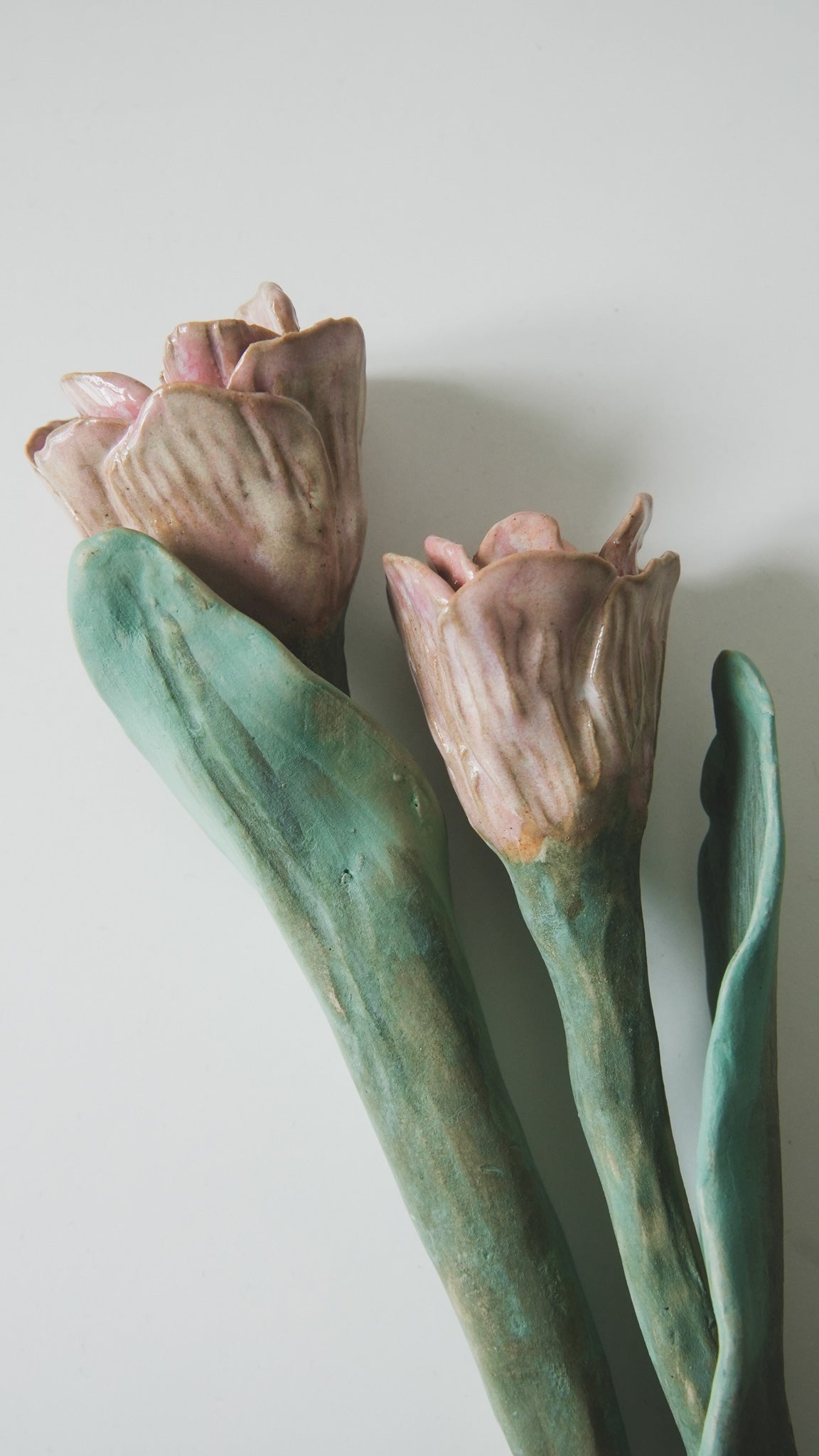 Tulip