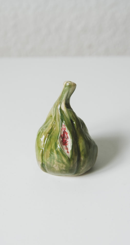 Fig