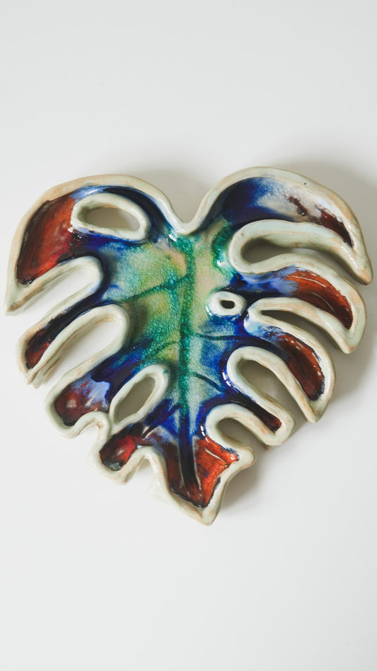 Monstera leaf
