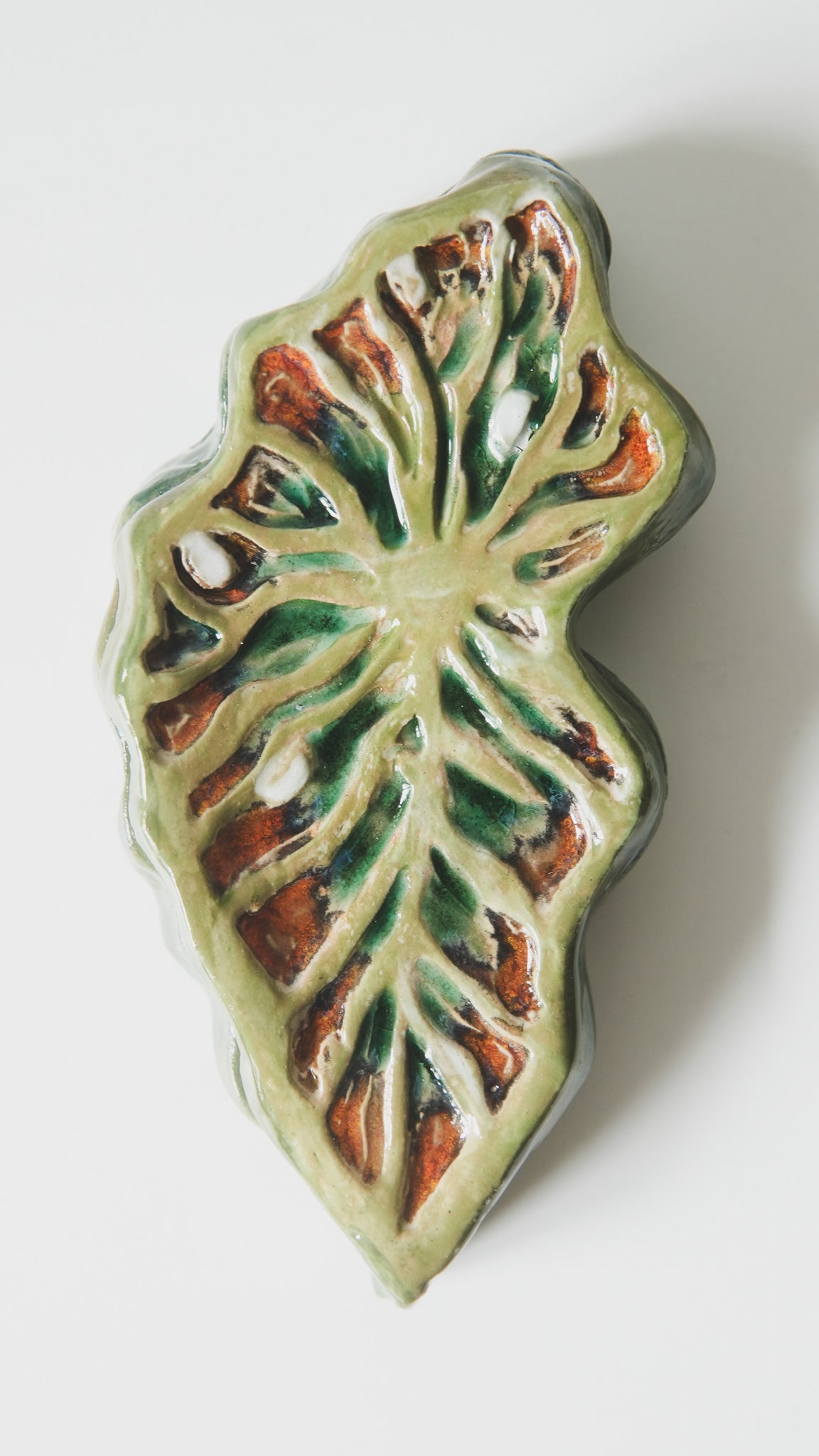 Tropical Leaf