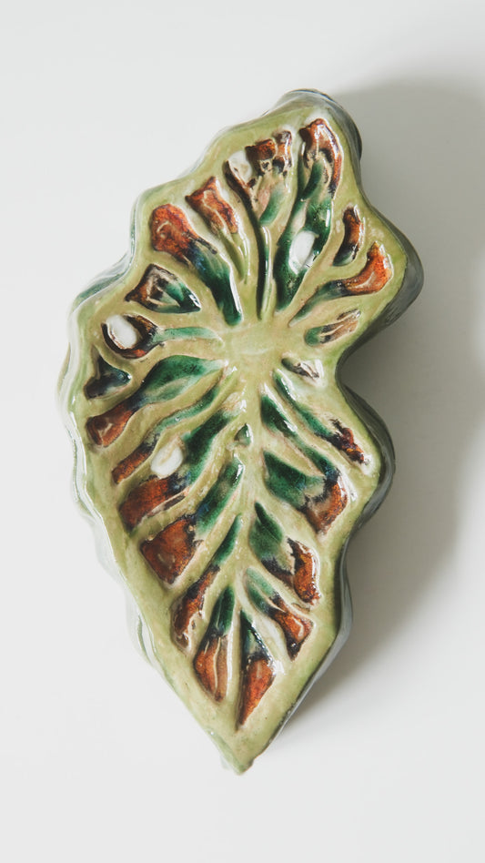 Tropical Leaf