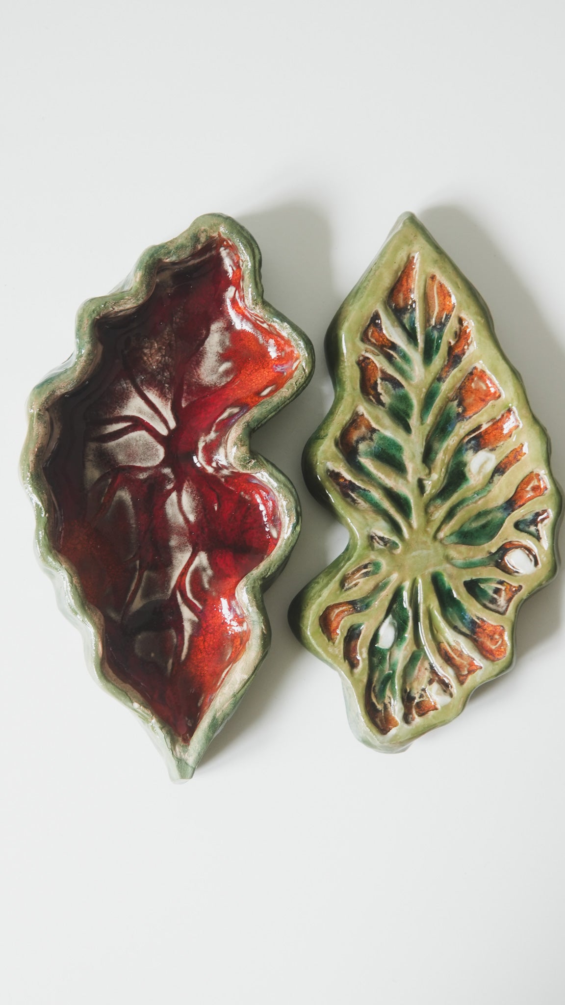 Tropical Leaf