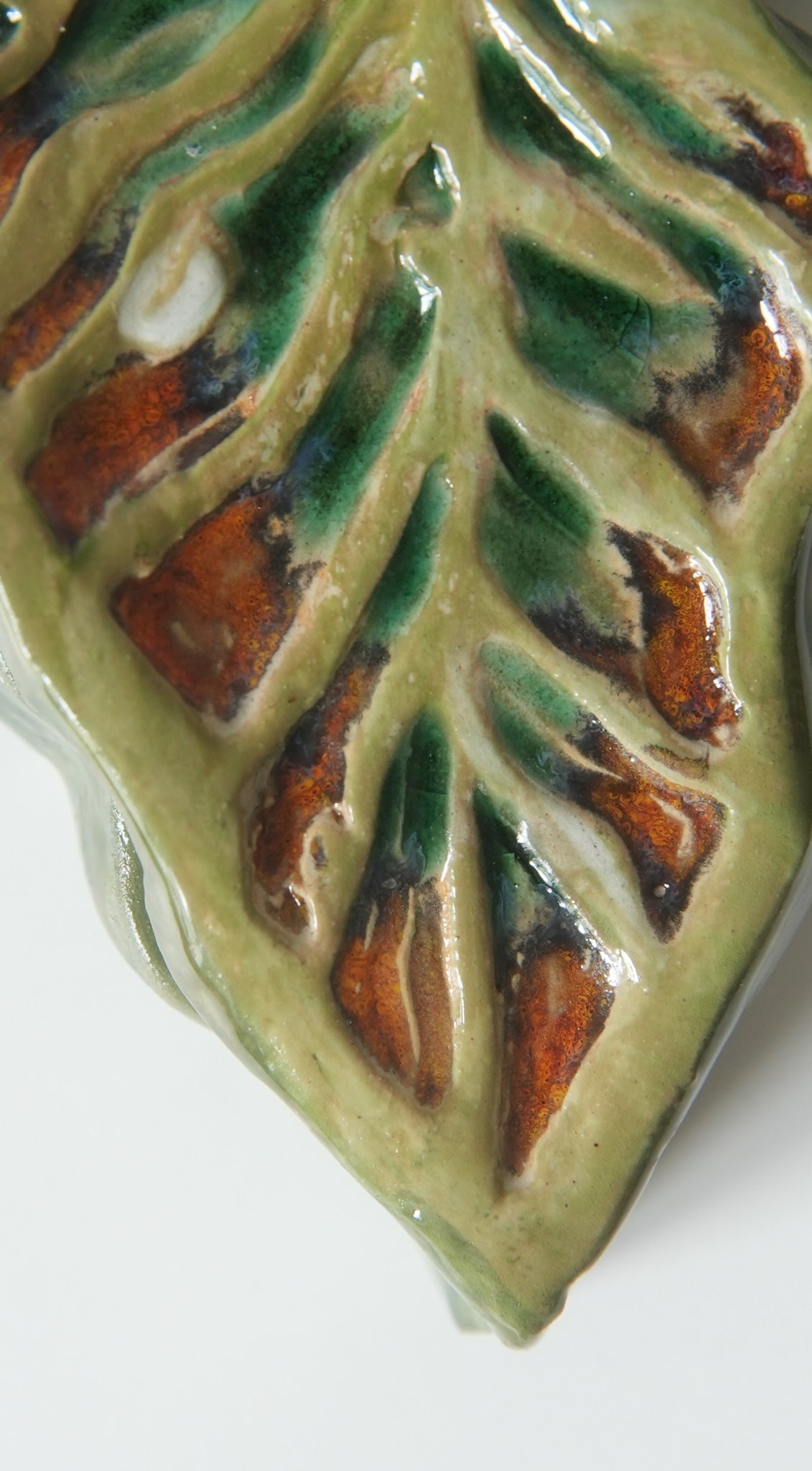 Tropical Leaf