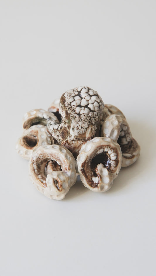 Octopus, small